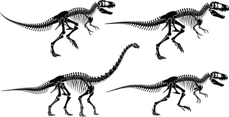 Tyrannosaurus rex skeleton, sauropod dinosaur bones, prehistoric anatomy, fossil illustration, bipedal theropod, quadrupedal sauropod, extinct species, paleontology, science, evolution, museum