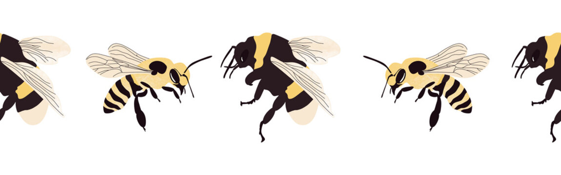 Bee icon border. Bee silhouette symbol. Bee border isolated on white background