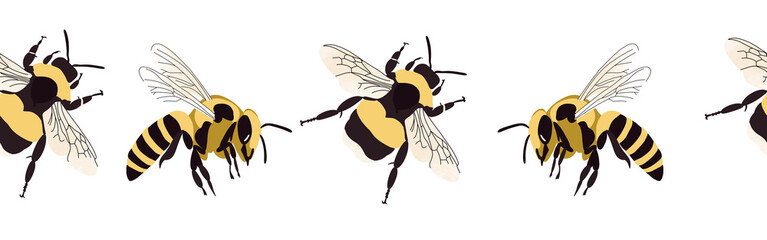 Bee icon border. Bee silhouette symbol. Bee border isolated on white background