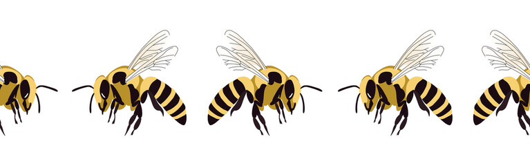 Bee icon border. Bee silhouette symbol. Bee border isolated on white background