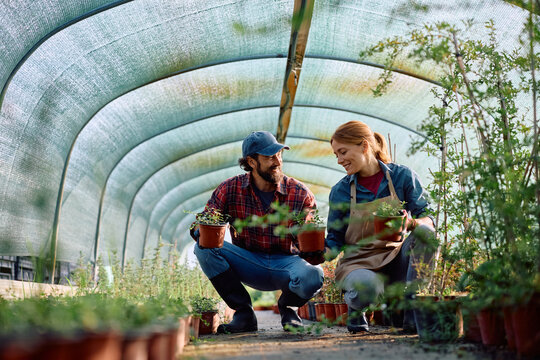 Happy greenhouse workers cooperating at plant nursery.