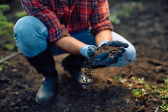 Close up of agronomist inspecting soil health before planting seedlings.