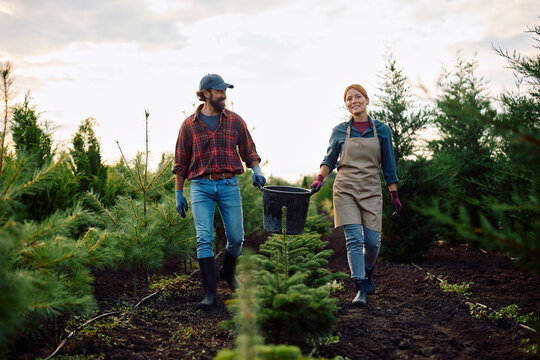 Happy horticulturalists carrying bucket while working at tree nursery. - Powered by Adobe