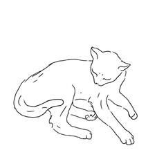 Sleeping cat, black and white ink sketch. Vector illustration. The silhouette is made in a simple linear style. The theme of animals, veterinary clinics, animal feed and for printing