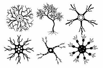Set of stylized neuron illustrations isolated on white background