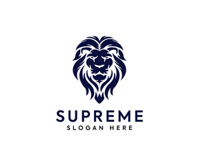 Lion head logo icon, lion face vector Illustration