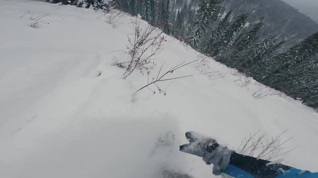 First person perspective skiing through a deep forest