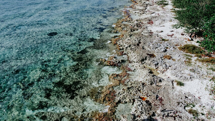 Beach in Mexico with corals.