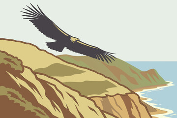 A condor soars above the cliffs of Big Sur, California, its massive wingspan gliding over coastal wilderness.
