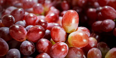 close up of a bunch of grapes 