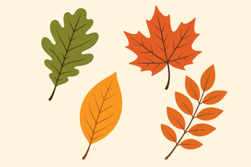 Autumn leaves vector collection set decorative fall foliage elements colorful orange red green seasonal nature design graphics bundle illustration