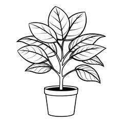  Potted Plant Line Drawing