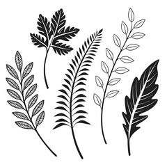 Obraz premium Botanical Leaves Black and White Set