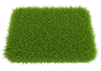 Rectangular patch of green grass isolated on transparent background
