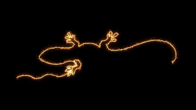 Abstract Lizard. Self drawing animation one continuous line draw, logo.  Blazing  flame, energy, fire on black background