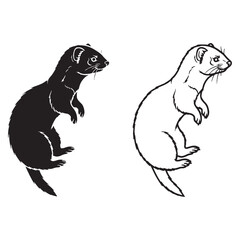Ferret Form Collection - Small Animal - Quick Mover - Ferret silhouette - Ferret lineart - Ferret vector - silhouette & lineart of Ferret

