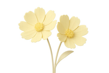 Fototapeta premium 3d rendering of two delicate yellow cosmos flowers blooming gracefully on transparent background