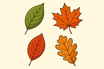 Autumn leaves vector collection. Set of 4 fall foliage design elements. Cartoon leaf icons bundle. Maple, oak, and birch leaves in orange, red, green. Seasonal nature.