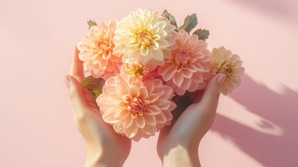 A tender offering of peach dahlias cradled with care a symbol of love and gentle joy in soft muted