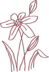 hand drawn flower element