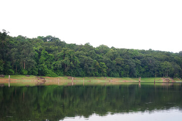 Fototapeta premium Landscape of lakes and rich forests in the tropics on white isolate background.environmental concept 