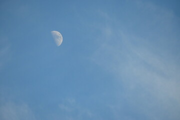 真昼の月