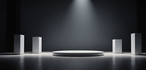 Minimalist Modern Interior with Circular and Rectangular Platforms