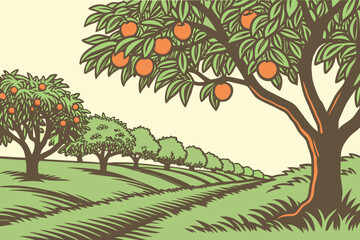 A peach orchard in Chilton County with ripe fruit hanging from the trees.