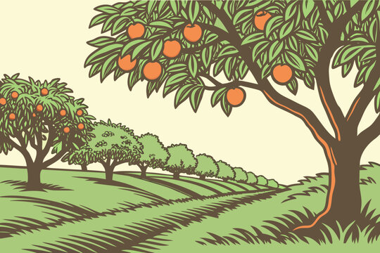 A peach orchard in Chilton County with ripe fruit hanging from the trees.