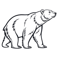 vector illustration of a bear
