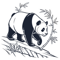 panda bear with bamboo on a white background 