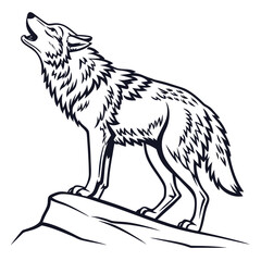 wolf isolated on white background