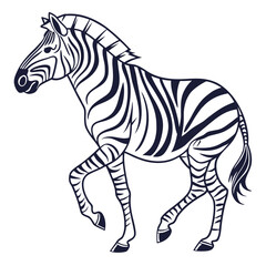 Zebra vector illustration with white background 
