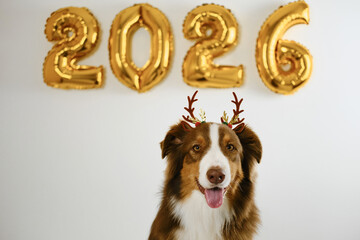 Greeting card with a dog and golden balloons in the shape of numbers 2026 - Happy New Year and...