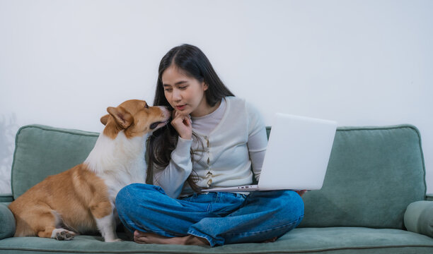 A young Asian woman works comfortably from home on a sofa beside her Corgi. She embodies modern remote work life, blending productivity, pet companionship,lifestyle balance in a cozy indoor setting
