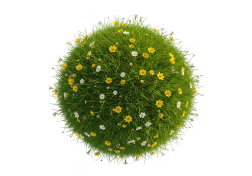 Green grass sphere with small yellow and white flowers isolated on transparent background