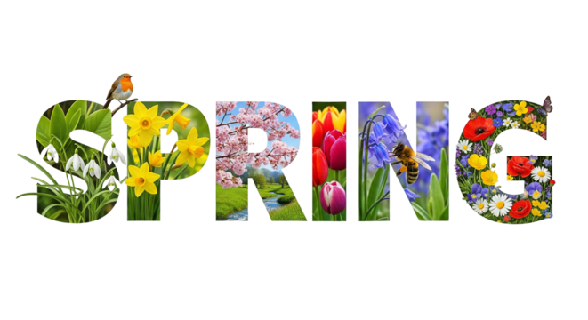 Word SPRING written with colorful nature and flowers images inside the letters, text isolated on transparent background, png file 


