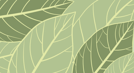 Green Leaf Texture: A sophisticated pattern of layered, green leaves creates an elegant and natural design, showcasing organic forms and botanical elegance.