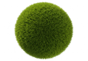 A spherical ball of green grass isolated on transparent background