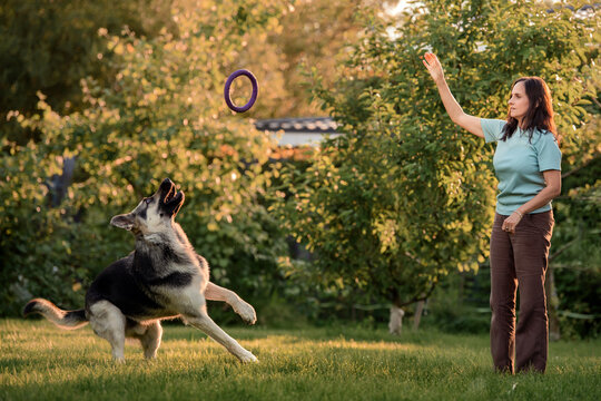 Woman throws toy to german shepherd dog outside