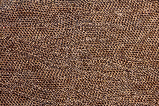 Soil at a Construction Site in Atlanta, Georgia