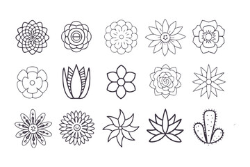 Abstract floral and succulent outline symbols. Collection of modern, simple flower and cactus shapes for minimalist design.