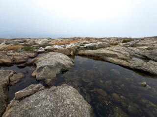 Foggy Rocky Shoreline with Tide Pool
