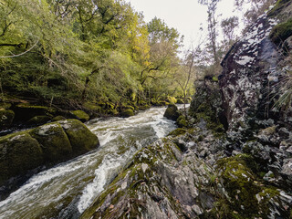 Fast flowing forest river through mossy rocks