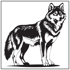 Fototapeta premium Vector art of artistic wolf drawing in black and white, isolated on white background