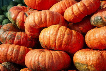 Fresh orange pumpkins arranged at a local market, perfect for themes related to harvest, autumn, organic food, rural lifestyle, Halloween decoration