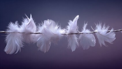 Obraz premium Delicate white feathers clustered on a thin wire against a muted purple background