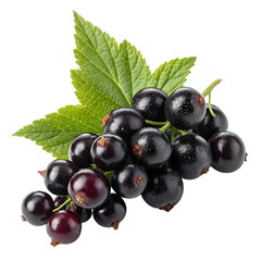 Blackcurrant Bunch: Fresh Berries, Vibrant Green Leaves, Isolated on White