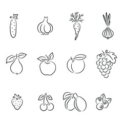 Line Art Fruit and Vegetable Icons, Cucumber, Garlic, Carrot, Pear, Apple, Peach, Grape, Berry