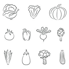 Line Art Vegetable Icons, Cabbage, Lettuce, Pumpkin, Tomato, Pepper, Corn, Broccoli, Zucchini, Beetroot